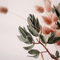 Fleurs séchées et plantes artificielles