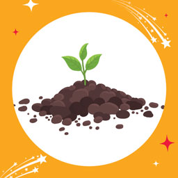 Terreau Soil Plus