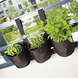 Bacs à fleurs et cache-pots