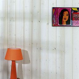 Décoration des murs et plafonds