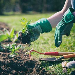 Gants de jardinage