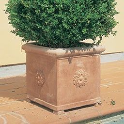 Poterie décorative