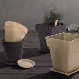 Soucoupes et plateaux