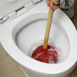 Produits d'entretien (déboucheur, consommable…)