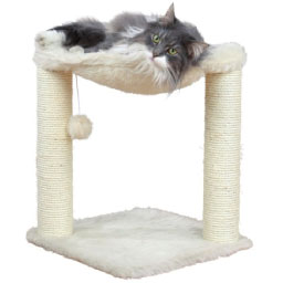 Arbre à chat, jouets et chatières