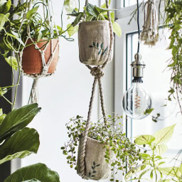 Supports de pot et suspensions