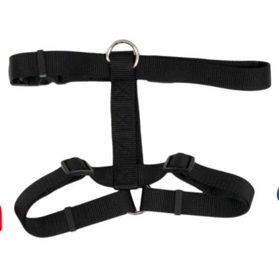 Harnais en nylon noir, 2,5 x 71-91 cm - ASPENPET