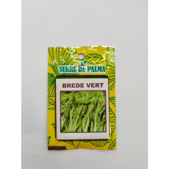 Graines de brede de chine