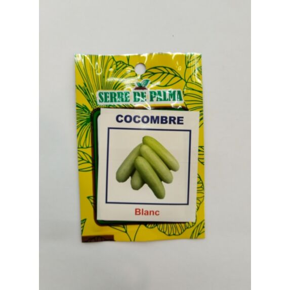Graines de concombre
