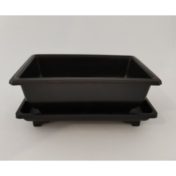 Pot bonsaï 4 x 6