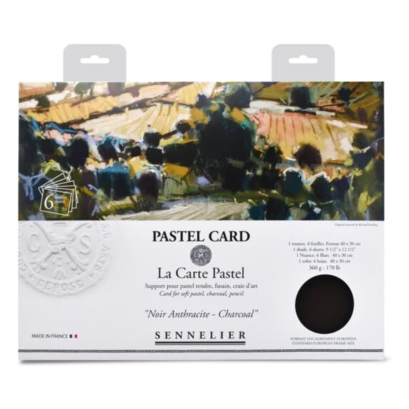 Pochette 6 Pastel Card Noir Anthracite 40 x 30 cm - SENNELIER