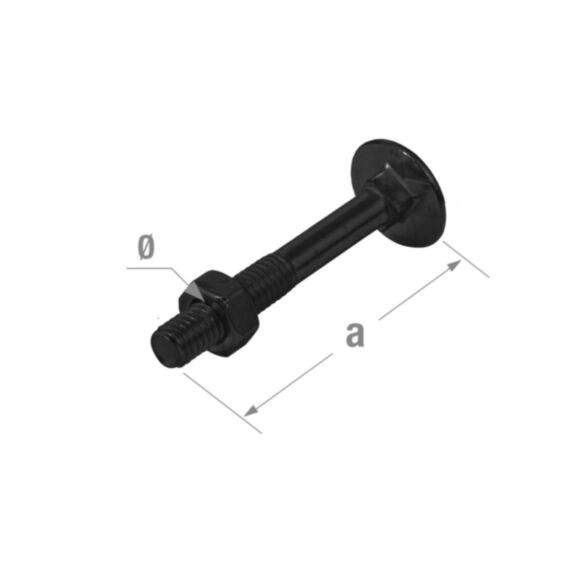 Set de 30 boulons TRCC 7 x 70 mm acier noir - CQFD