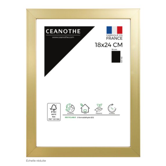 Cadre photo Precious doré 18x24cm - CEANOTHE