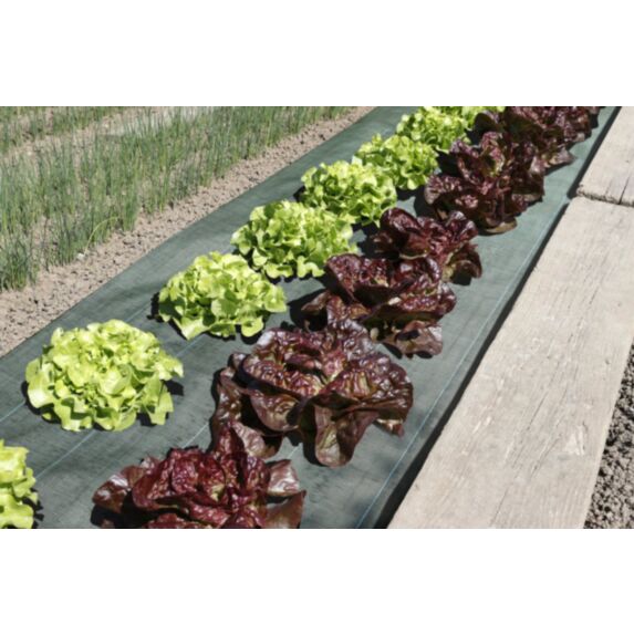 Toile paillage 100g 1,05 x 25 m vert - IDEAL GARDEN