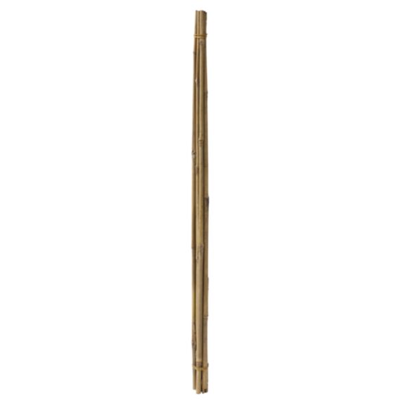 6 tuteurs bambou 0,6 m - IDEAL GARDEN