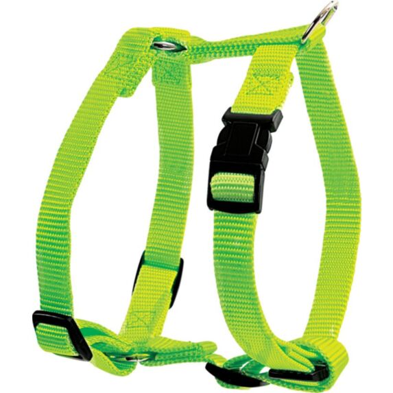 Harnais nylon réglable 40 mm anis - ZOLUX
