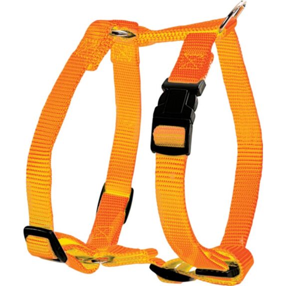Harnais nylon réglable 40 mm orange - ZOLUX