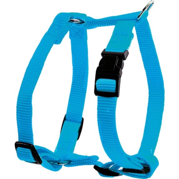 Harnais nylon réglable 40 mm turquoise - ZOLUX