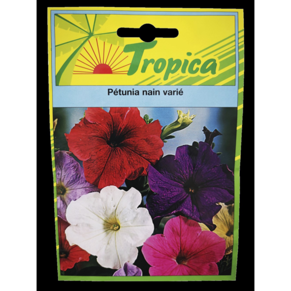 Pétunia nain varié - TROPICA