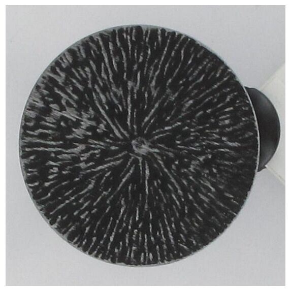 Lot de 2 pincess en métal Archi  - noir/argent