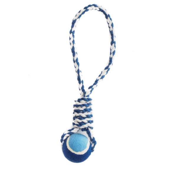 Corde 38 cm balle tennis 6 cm bleu - ZAMIBO