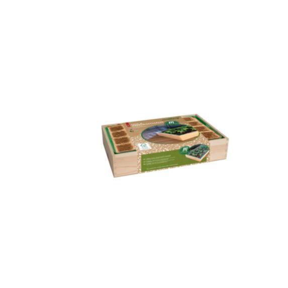 Serre en bois M avec 24 pots biodégradables 37 x 24 x 8 cm - ROMBERG