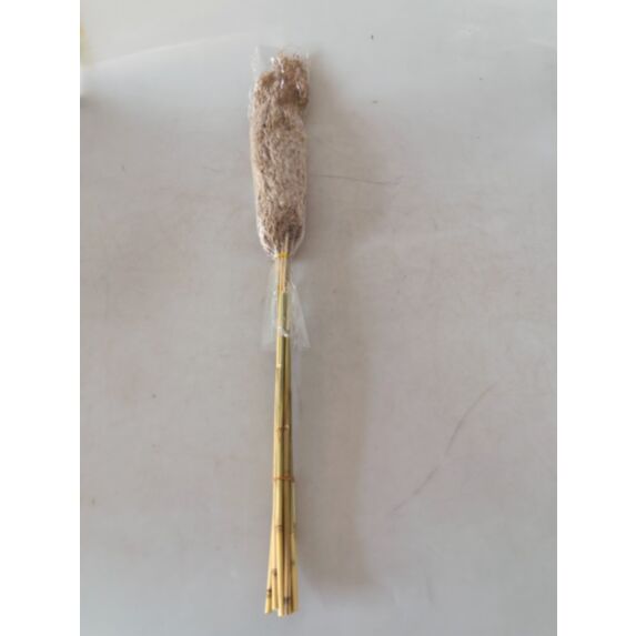 Set de 10 branches de pampas séchées 80 cm marron