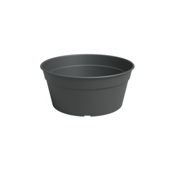 Coupe Madagascar 34 cm anthracite - ARTEVASI