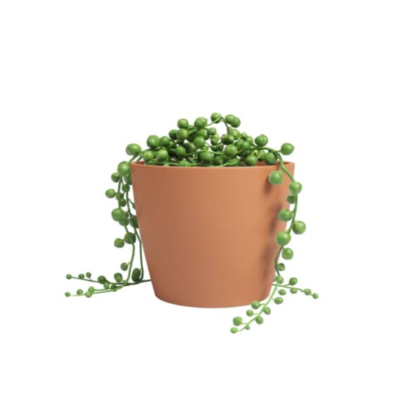 Cache-Pot Núbia Cactus Ø9cm Terre Cuite Clair - ARTEVASI