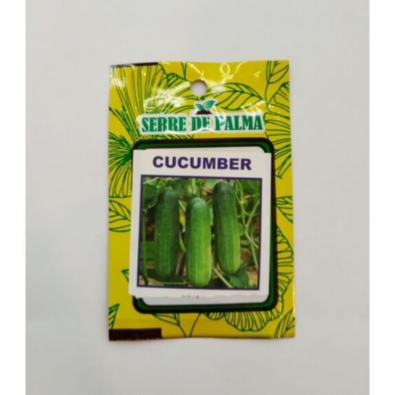 Graines de concombre vert Uday