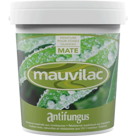 Anti fungus base2 1 L - MAUVILAC