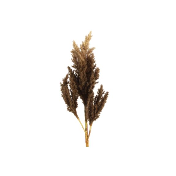 Fleur artificielle Astilbe 12x22x81cm marron - DECOSTARS