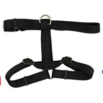 Harnais en nylon noir, 2,5 x 71-91 cm - ASPENPET
