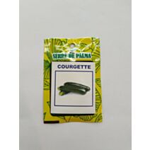 Graines de courgette