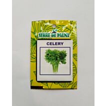 Graines de céleri