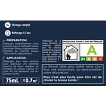 Testeur peinture Rénovation Multisupport fonte satin 75 ml - V33