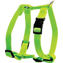 Harnais nylon réglable 10 mm anis - ZOLUX