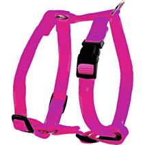 Harnais nylon réglable 20 mm fushsia - ZOLUX