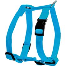 Harnais nylon réglable 40 mm turquoise - ZOLUX