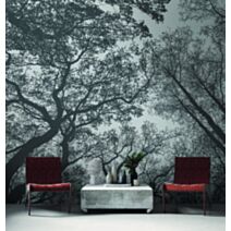 Papier peint panoramique Arbres noirs - AS CREATION