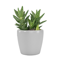 Cache-pot Cactus Núbia 8 cm gris clair - ARTEVASI