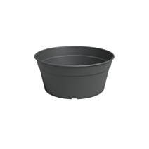 Coupe Madagascar 34 cm anthracite - ARTEVASI