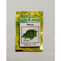 Graines de petit pois