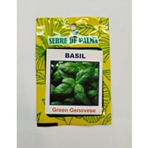 Graines de basilic