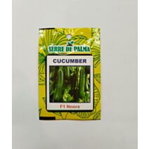 Graines de concombre vert Noora
