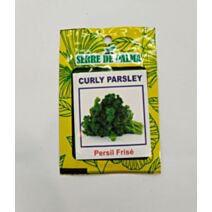 Graines de persil frisé