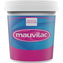 Peinture semi brillante sol B gris 1 L - MAUVILAC