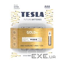 4 piles alcalines AAA Gold+ - TESLA