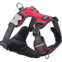 Harnais pour chien XS/S rembourré 12 mm rouge - RED DINGO