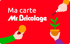 carte de fidelite mr bricolage